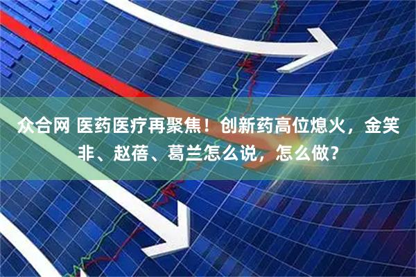 众合网 医药医疗再聚焦！创新药高位熄火，金笑非、赵蓓、葛兰怎么说，怎么做？