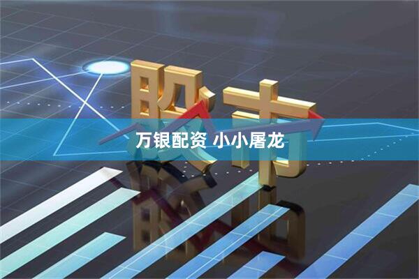 万银配资 小小屠龙
