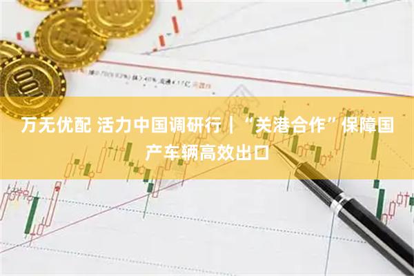 万无优配 活力中国调研行｜“关港合作”保障国产车辆高效出口