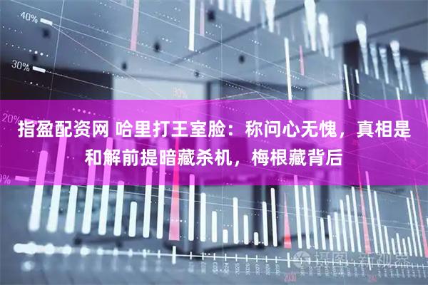 指盈配资网 哈里打王室脸：称问心无愧，真相是和解前提暗藏杀机，梅根藏背后