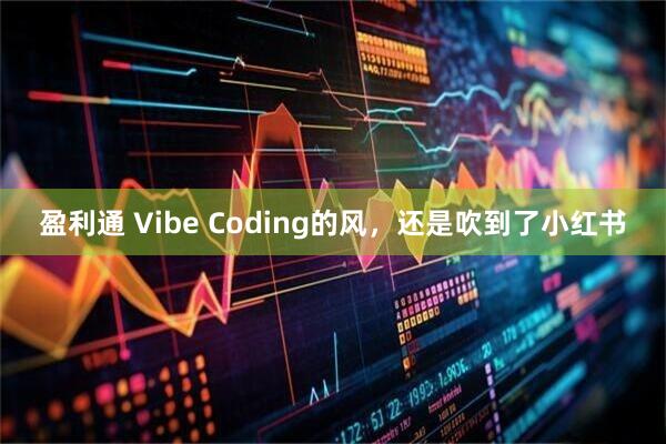 盈利通 Vibe Coding的风，还是吹到了小红书