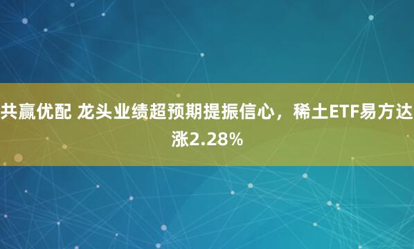 共赢优配 龙头业绩超预期提振信心，稀土ETF易方达涨2.28%