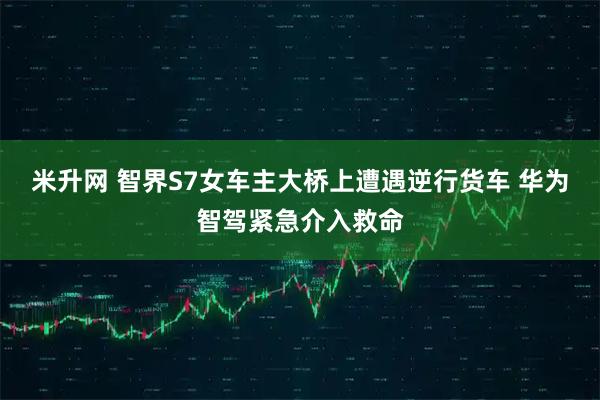 米升网 智界S7女车主大桥上遭遇逆行货车 华为智驾紧急介入救命